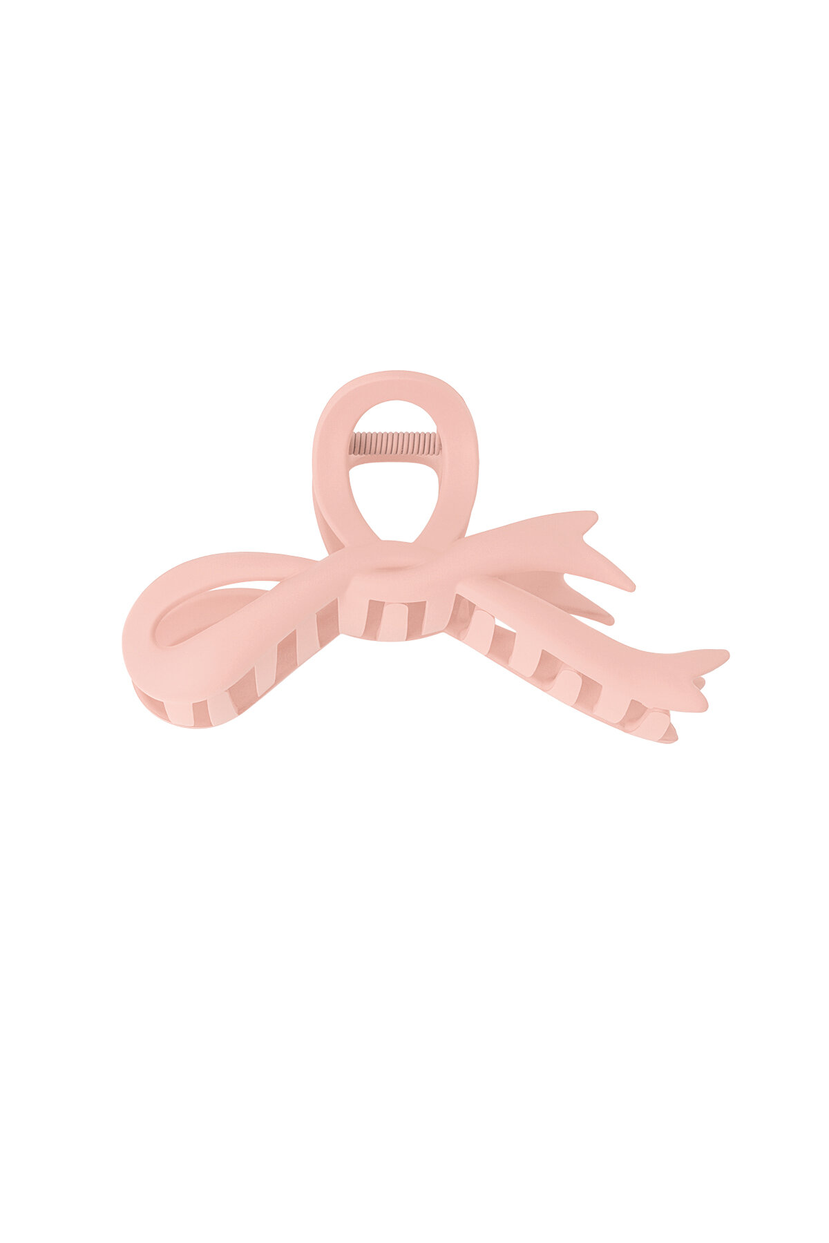 Rosa baby Immagine5