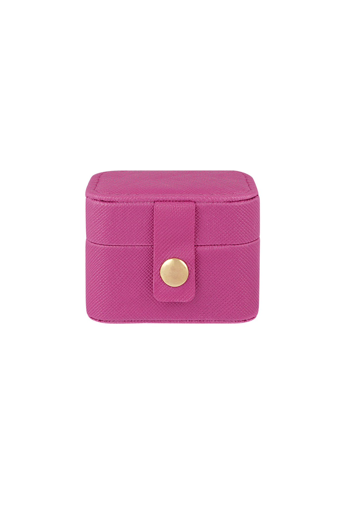 Fuchsia Picture2