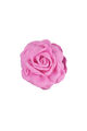 fucsia Immagine2