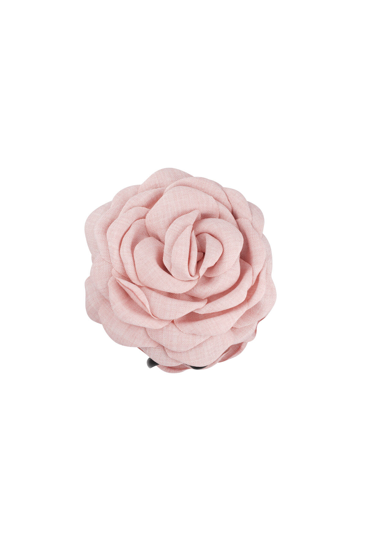 Rosa baby Immagine4