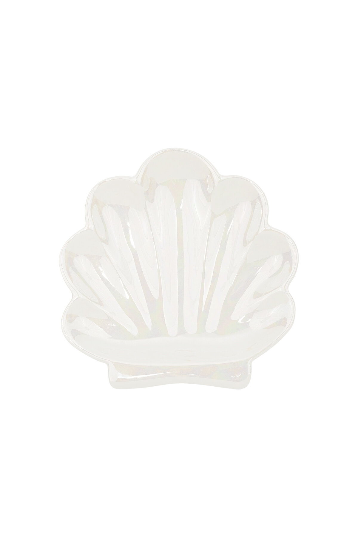 Glass display shell perfection 