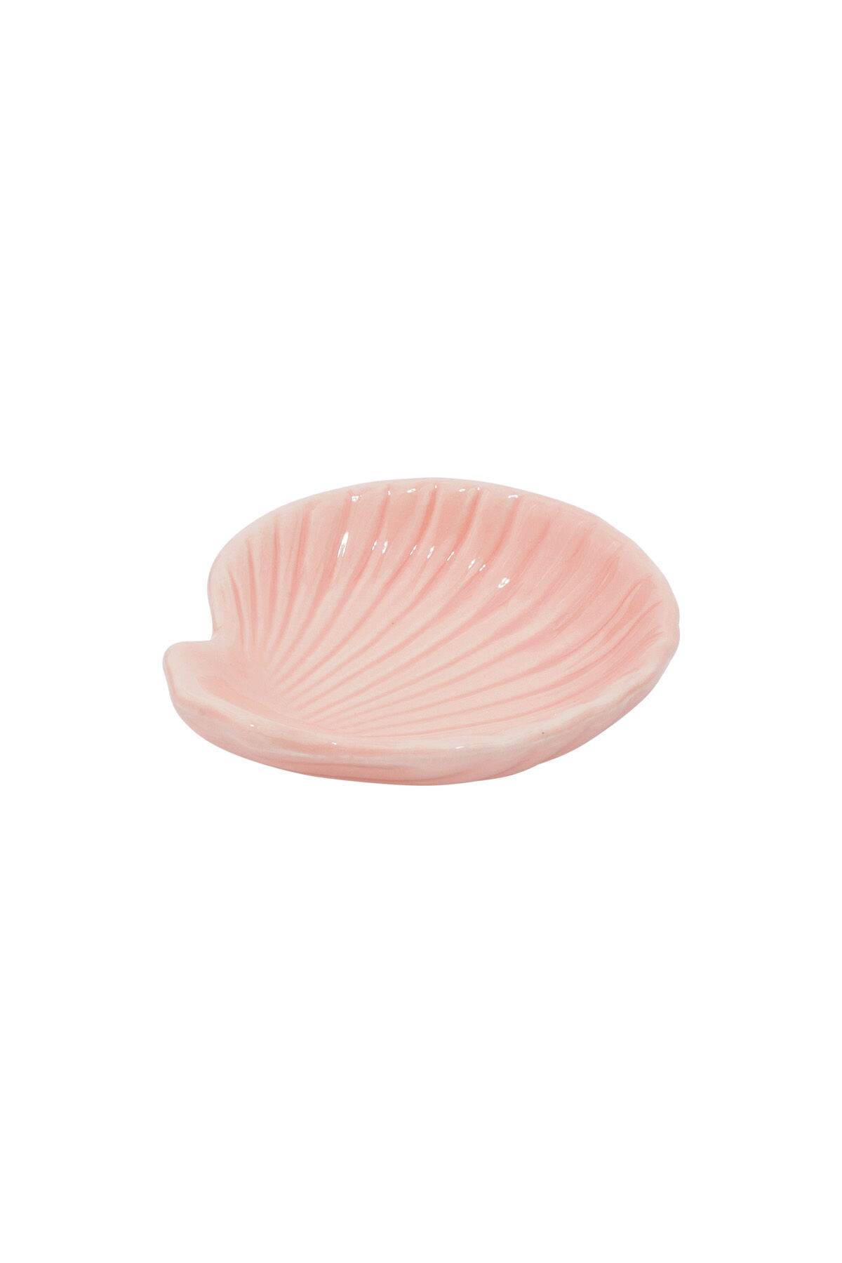Glass display shell sign Picture4