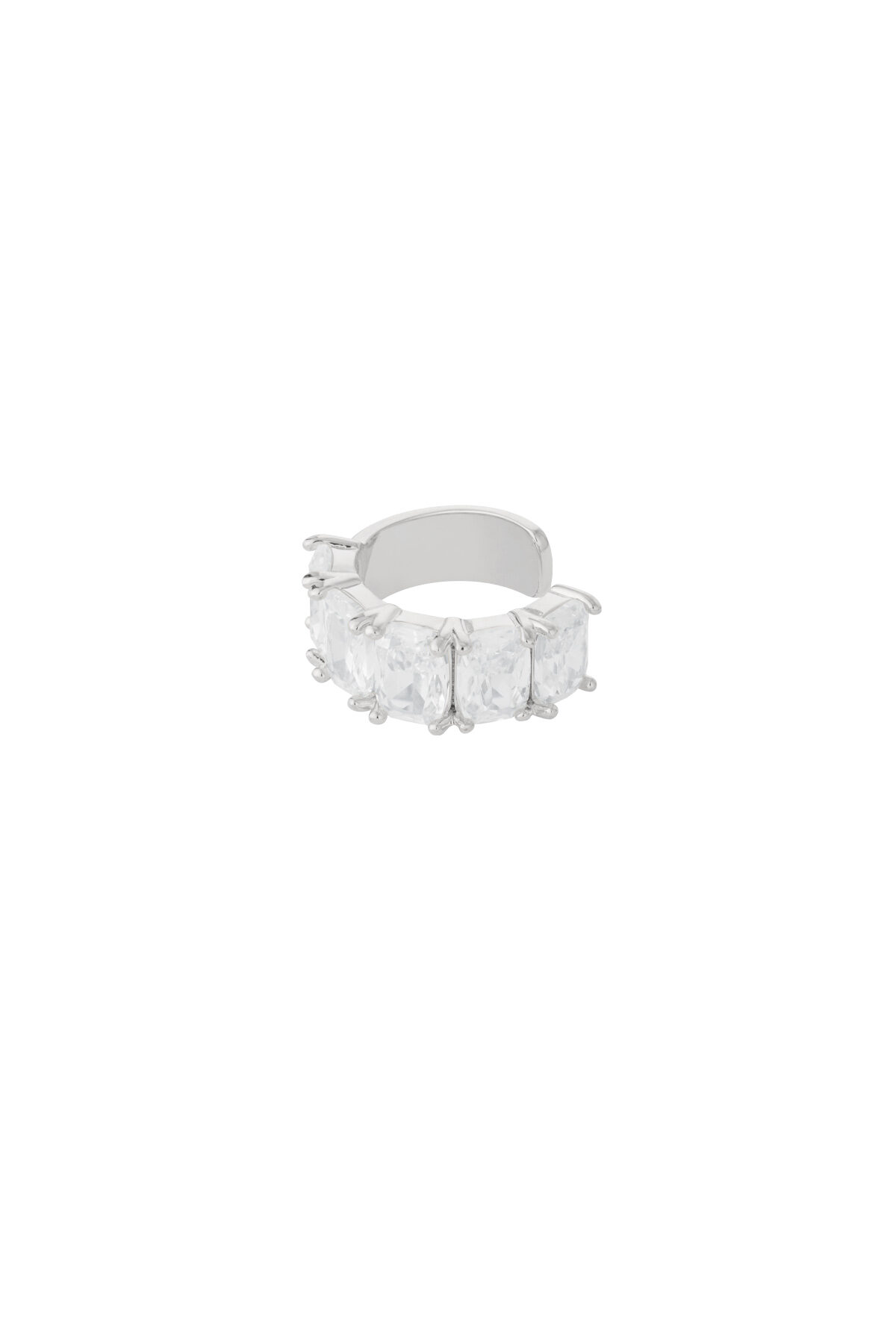 Silver Color Picture2