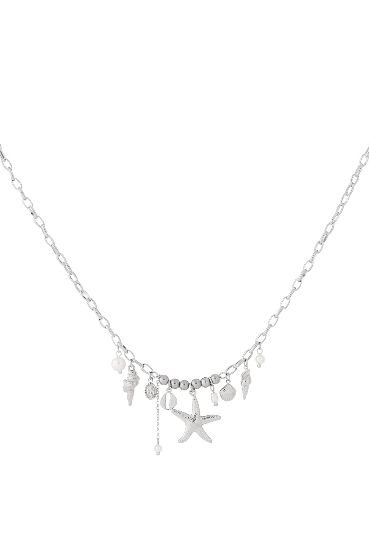 Silver Color Picture2