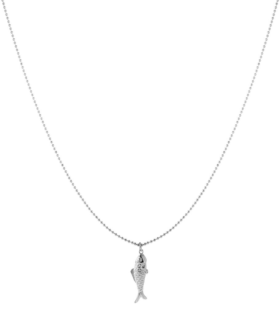 Silver Color Picture2
