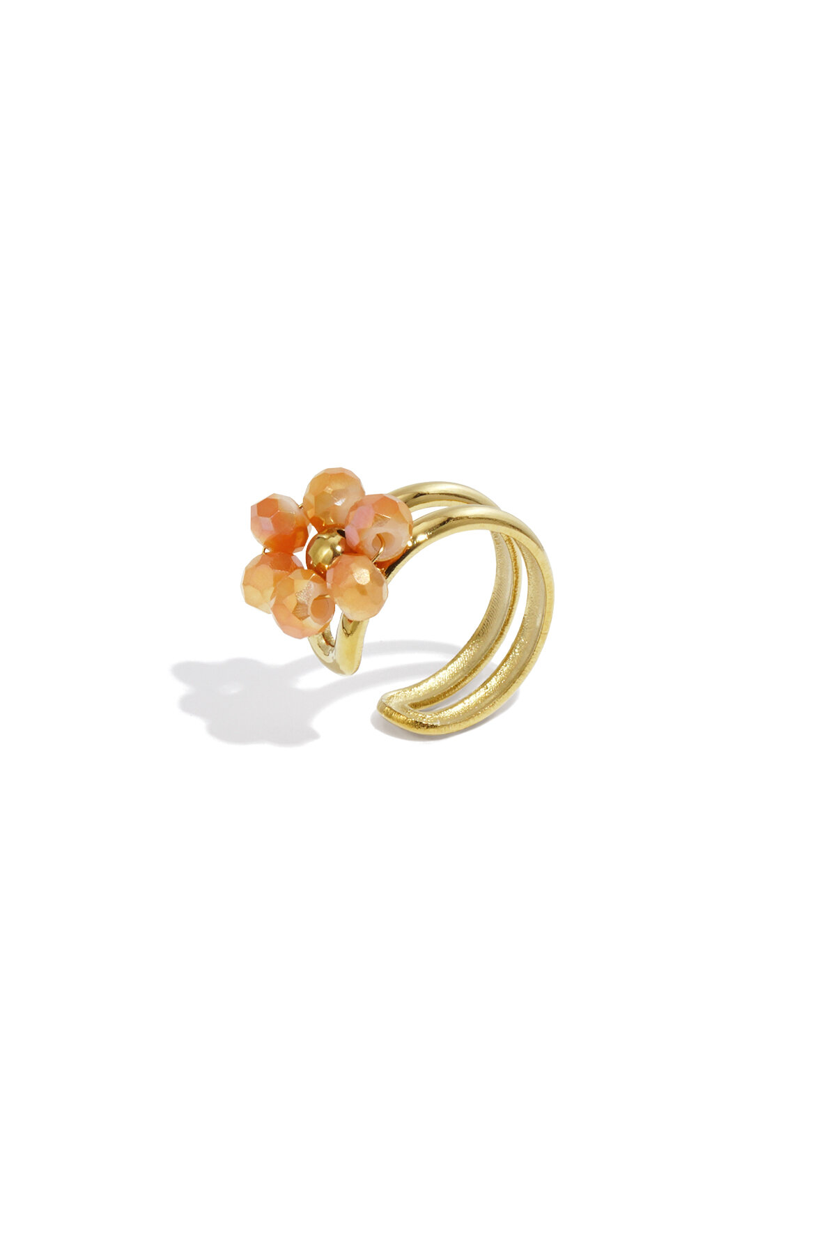 Orange Picture2