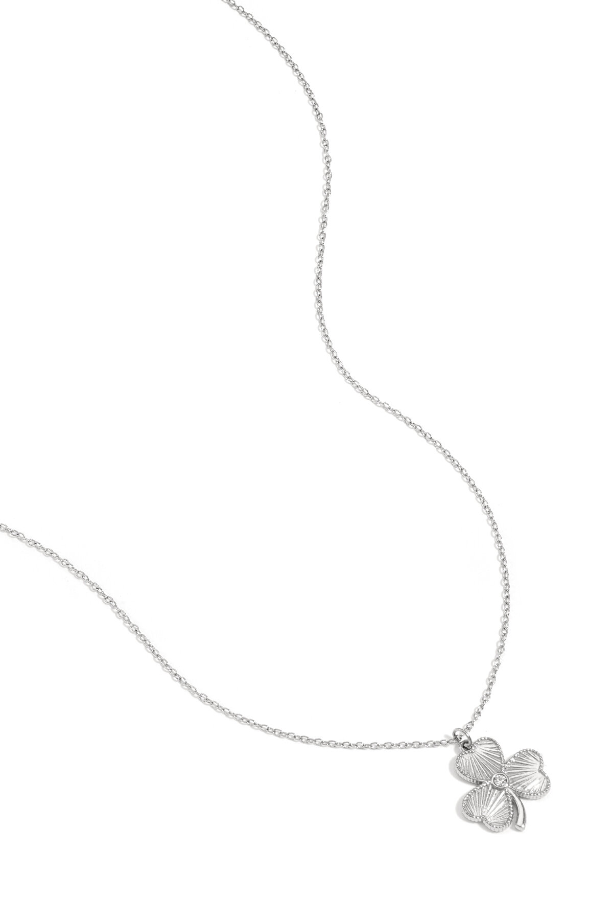 Silver Color Picture2