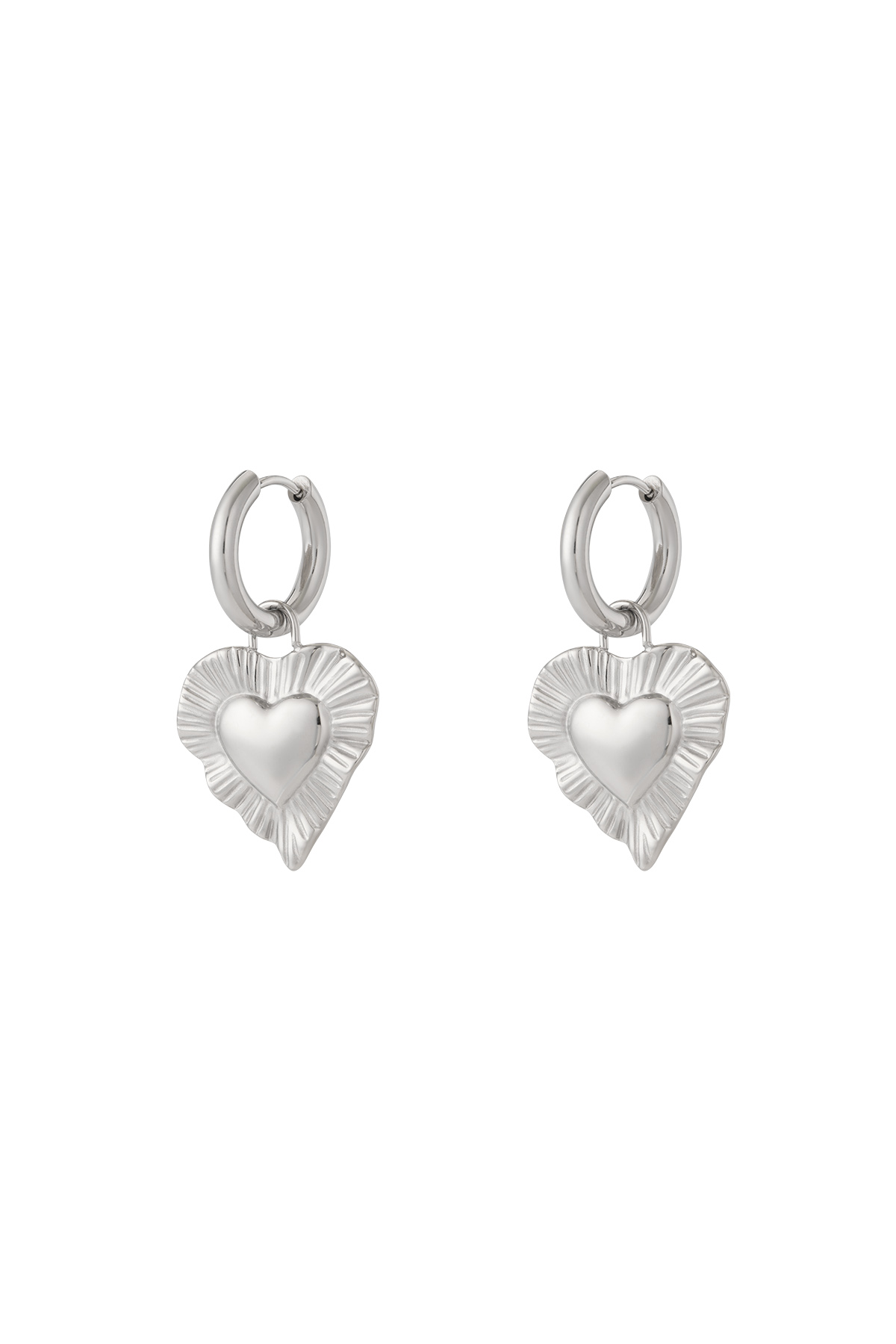 Silver Color Picture2