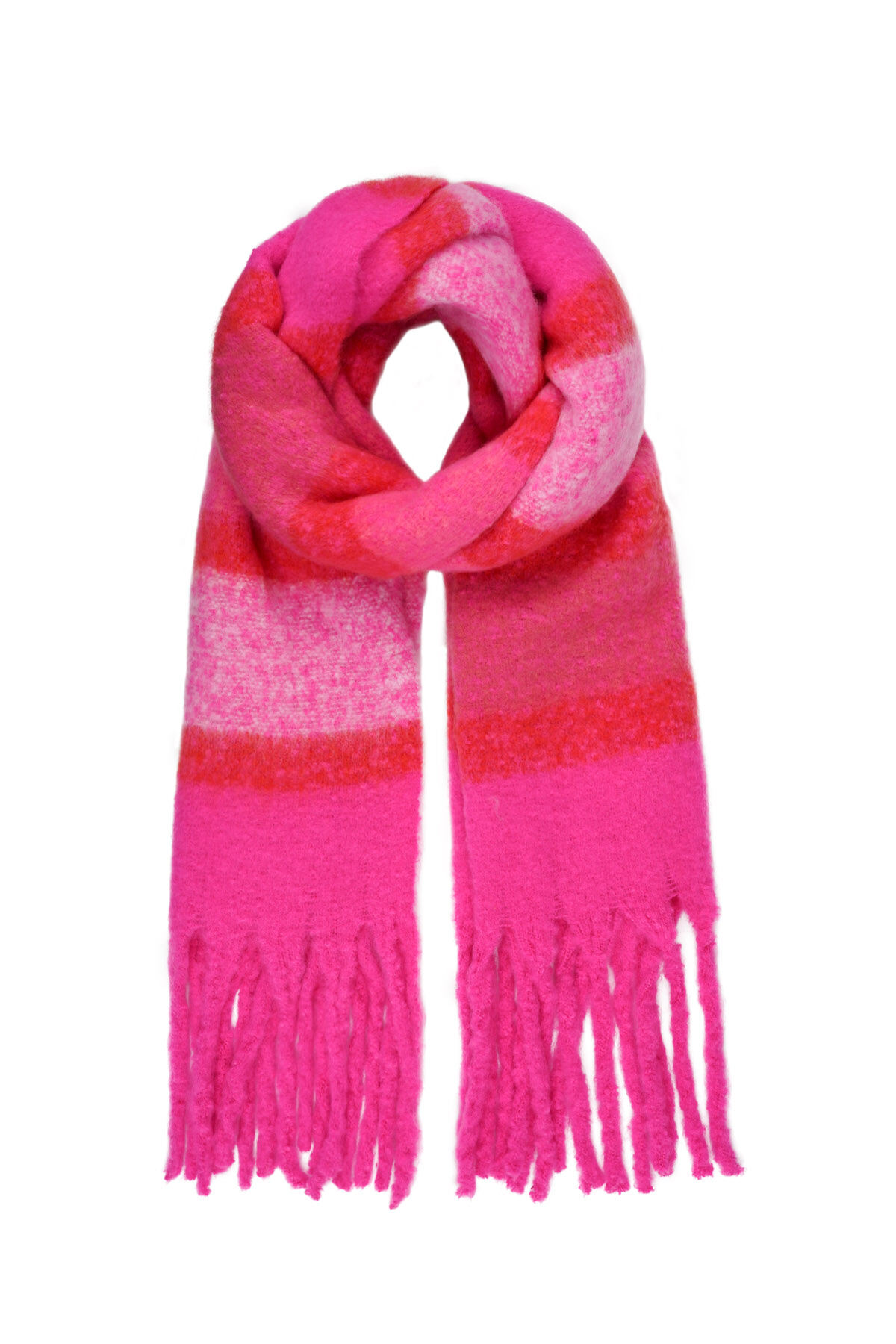 fucsia Imagen4