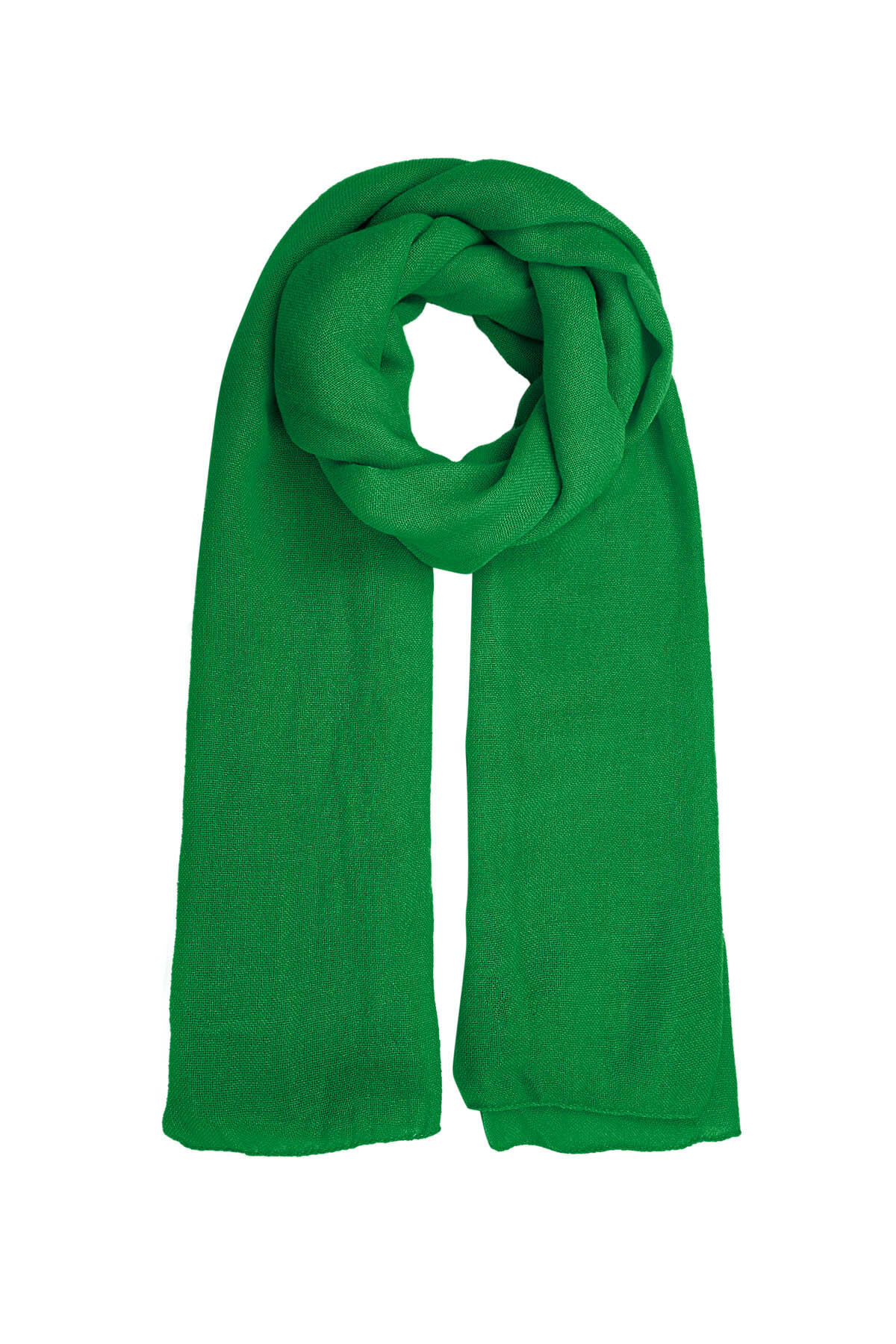 Vert Image3