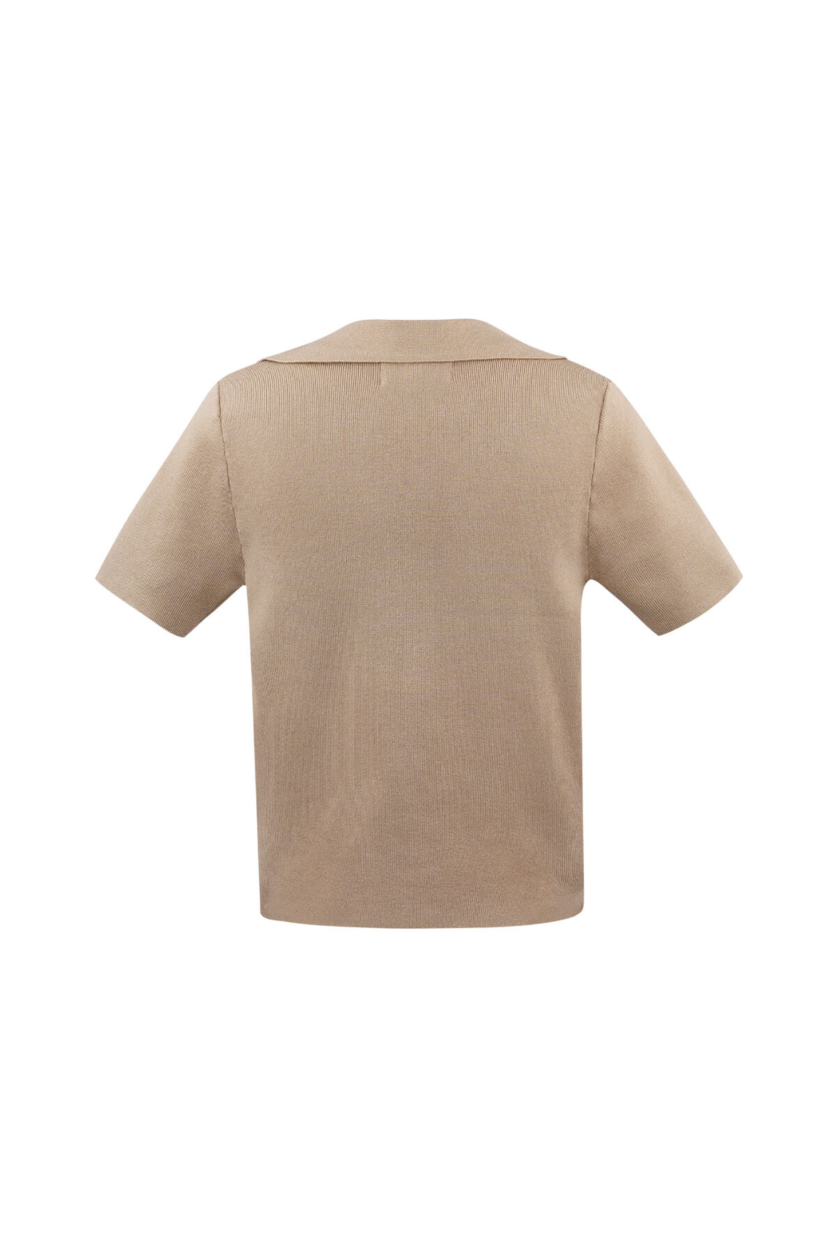 Polo mezza abbottonatura piccola/media – beige h5 Immagine2