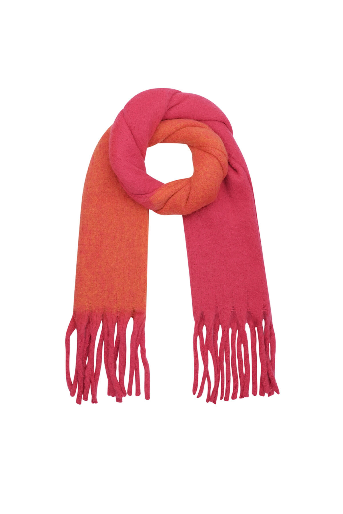 fucsia Immagine4