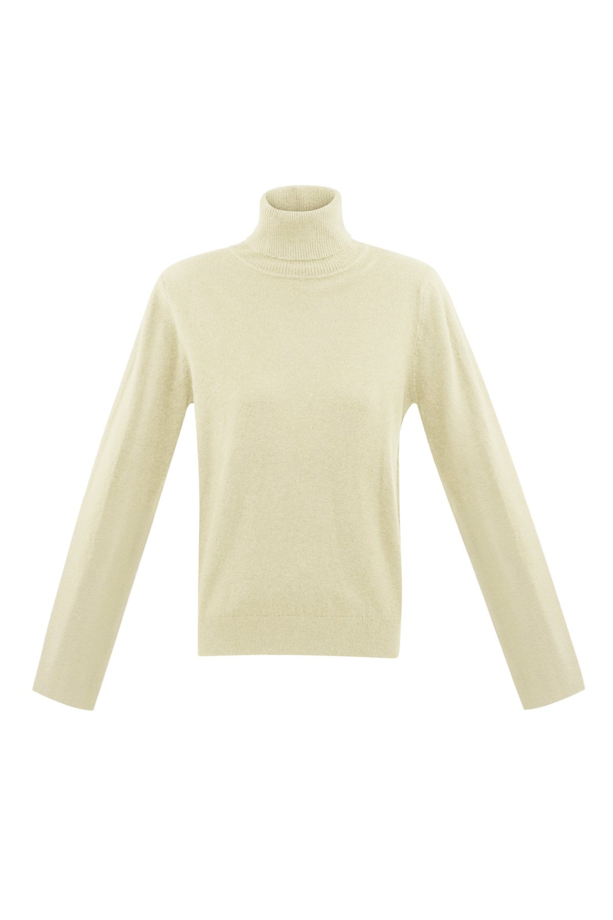 Viscose Women's Long Sleeve Turtleneck Top Sporty