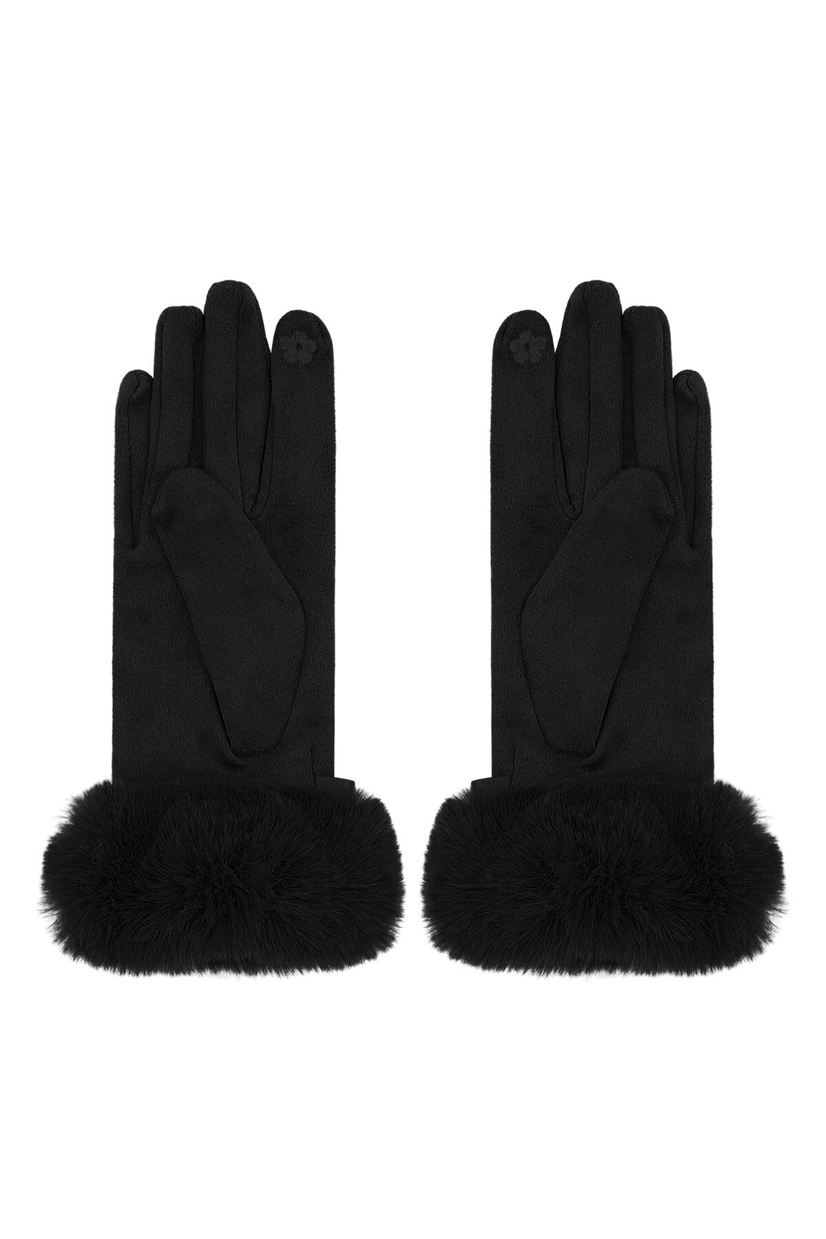 Refined grace gloves Picture3