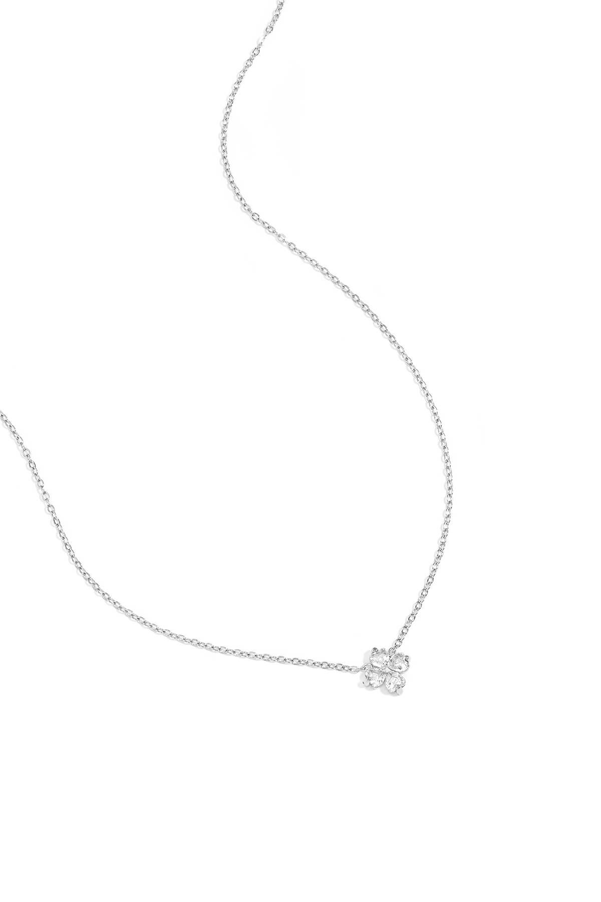 Silver Color Picture2
