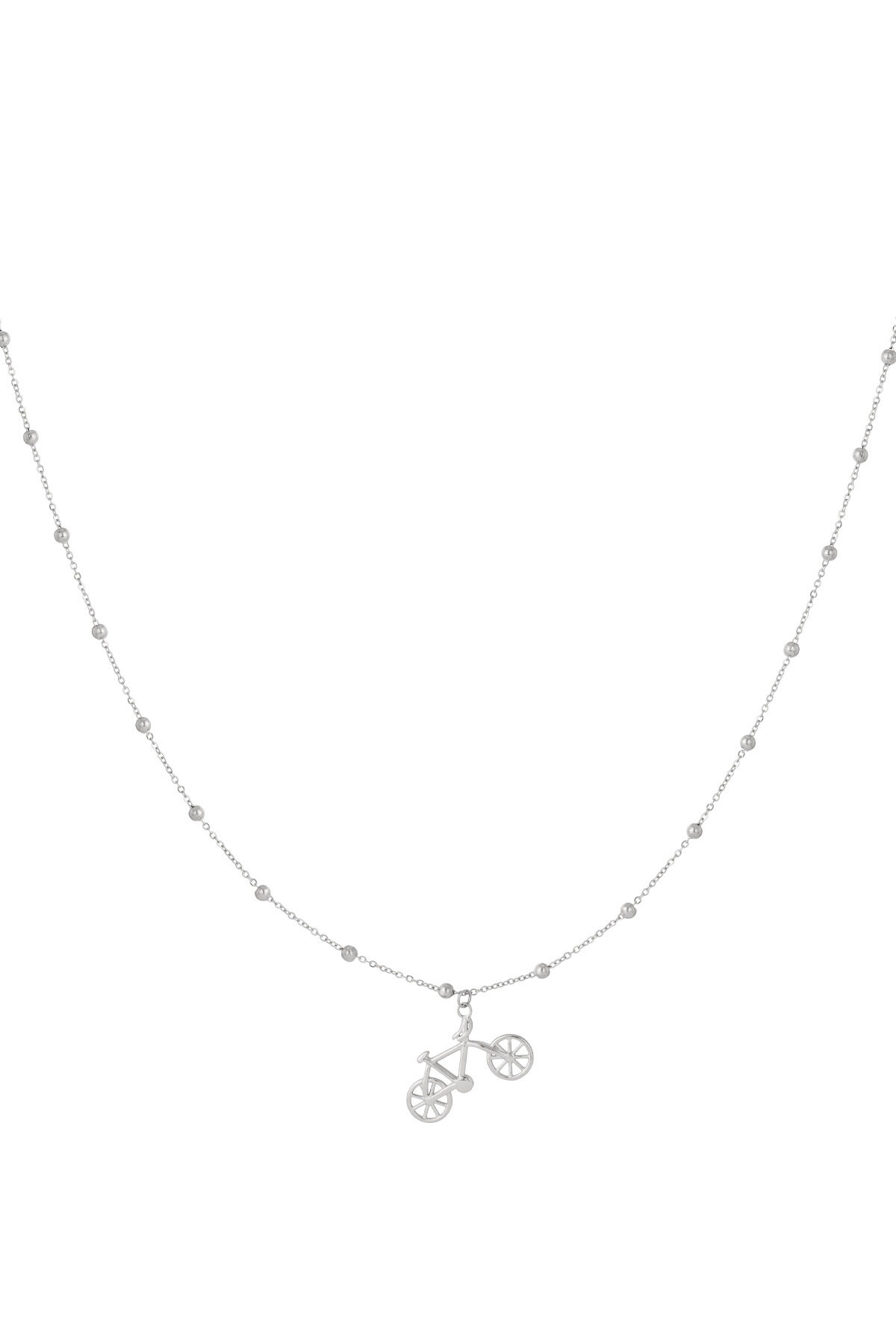 Silver Color Picture2