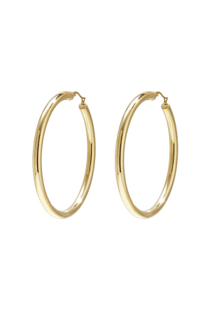Stainless Steel Hoop Earrings Casual Daily Simple Series Women's Jewelry h5 