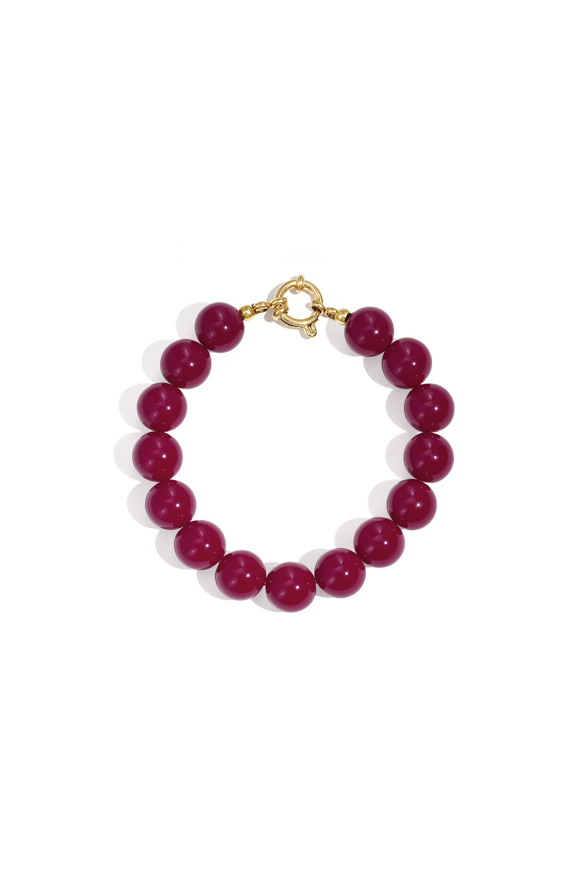 Fuchsia Picture15