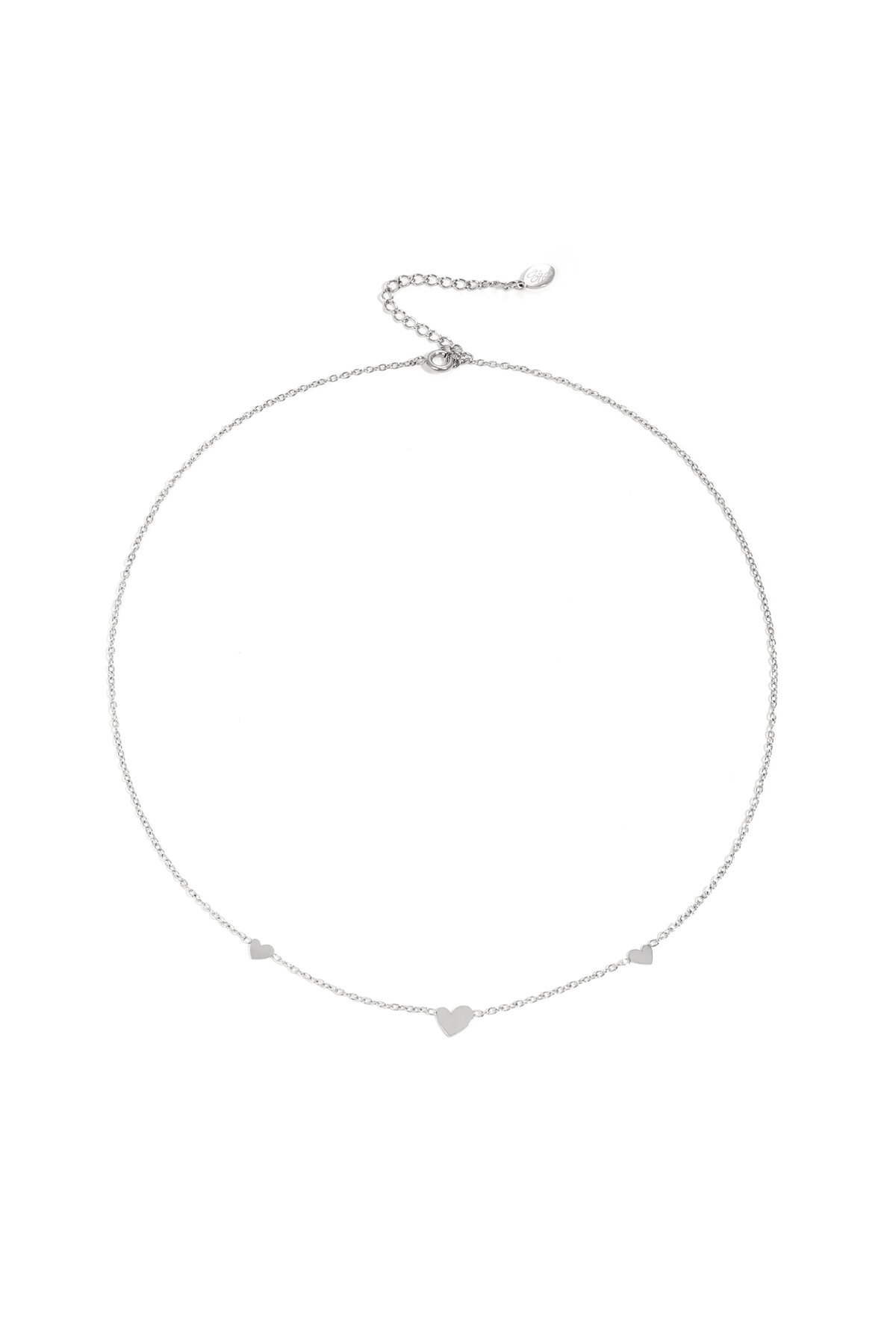 Silver Color Picture2