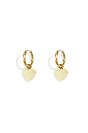 Stainless Steel Drop Earrings Heart Casual Daily Simple Series Women's jewelry h5