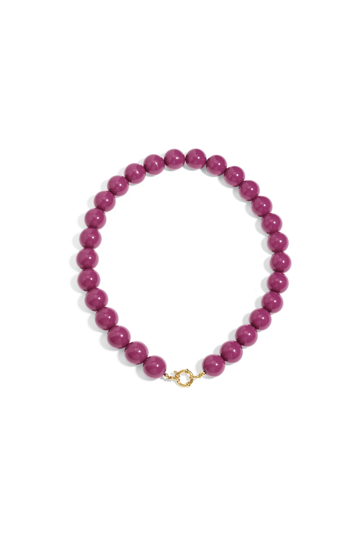 Fuchsia Picture17