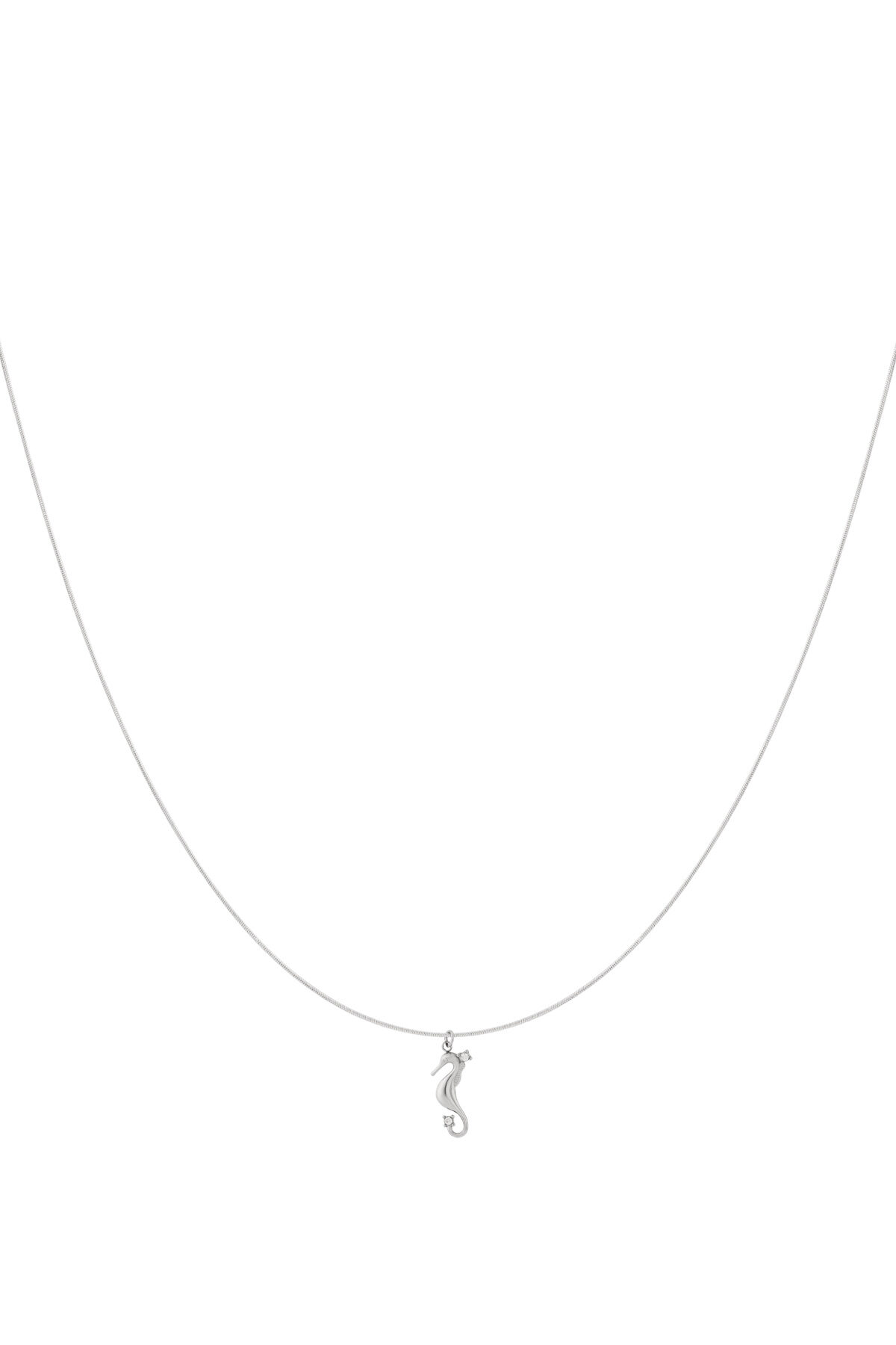 Silver Color Picture2