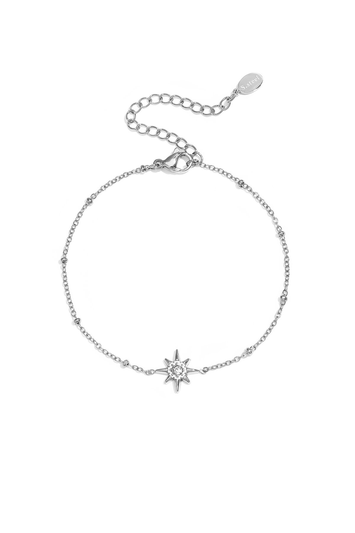 Silver Color Picture2