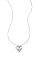 Silver Color Picture2