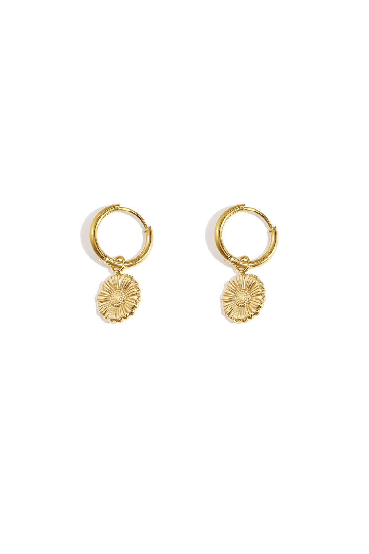 Gold Color Picture2