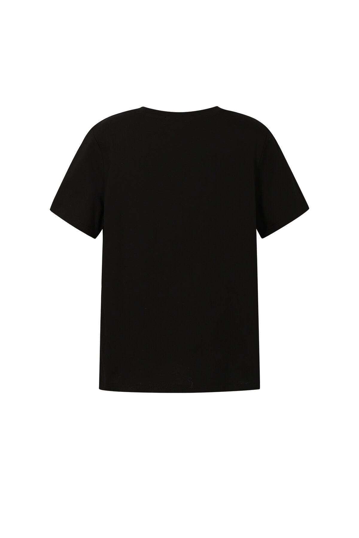 Sequins tee h5 Picture3