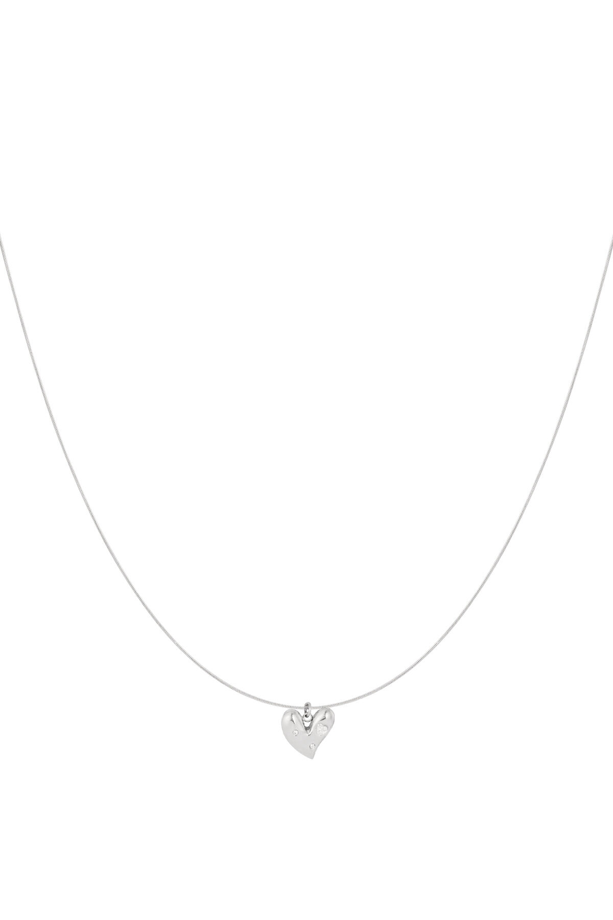 Silver Color Picture2