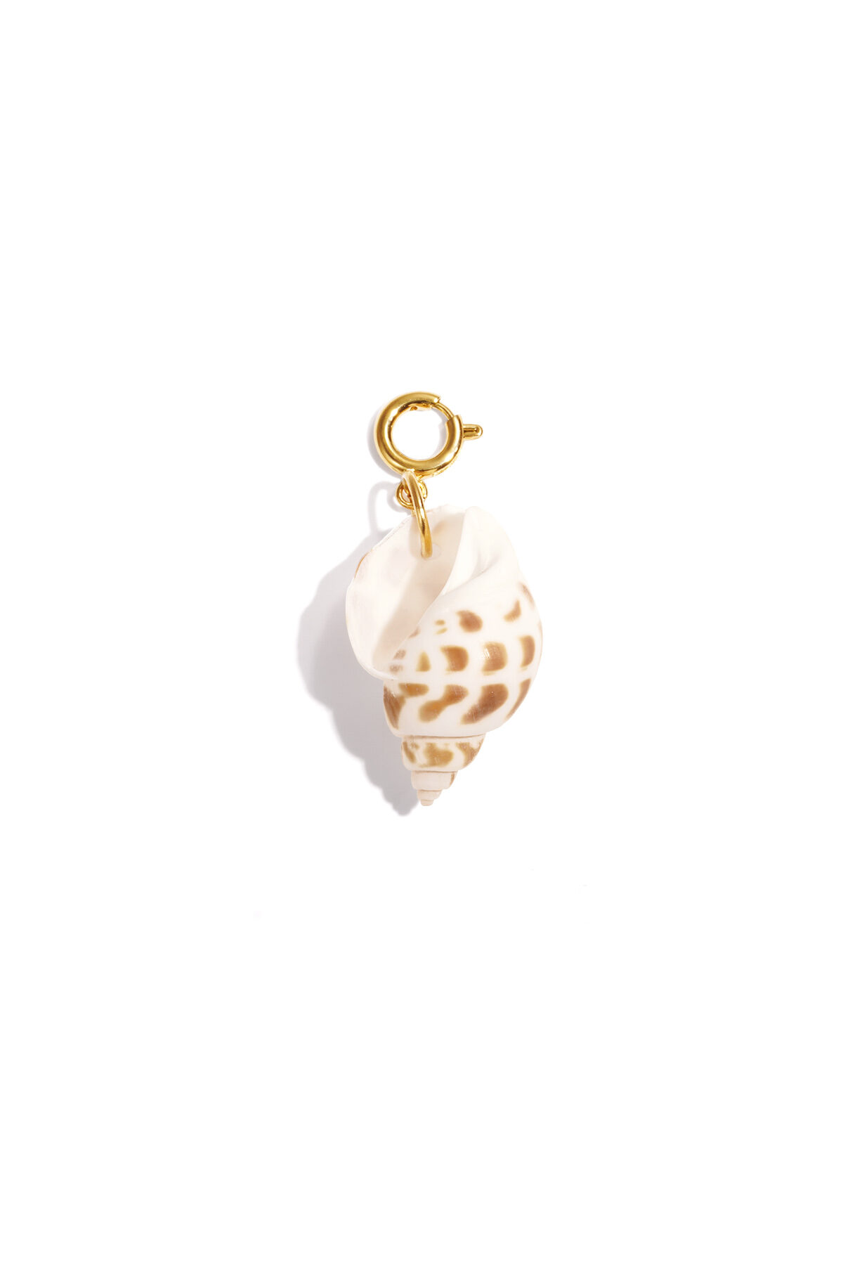 Stainless Steel Jewelry Charms Turtle DIY Daily Simple Series Women's jewelry h5