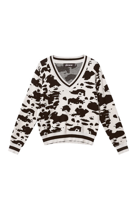Knitted (including crochet and woolen fabrics) Leopard Print Women's V-Neck Sweater Fall/Winter Casual 2