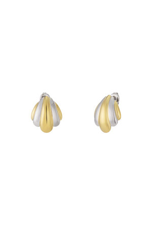 Golden Silver Fusion Earrings h5