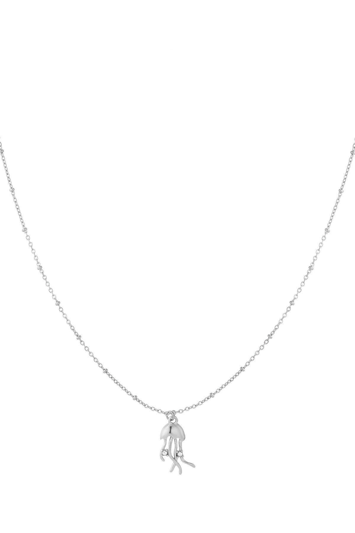 couleur argent Image2