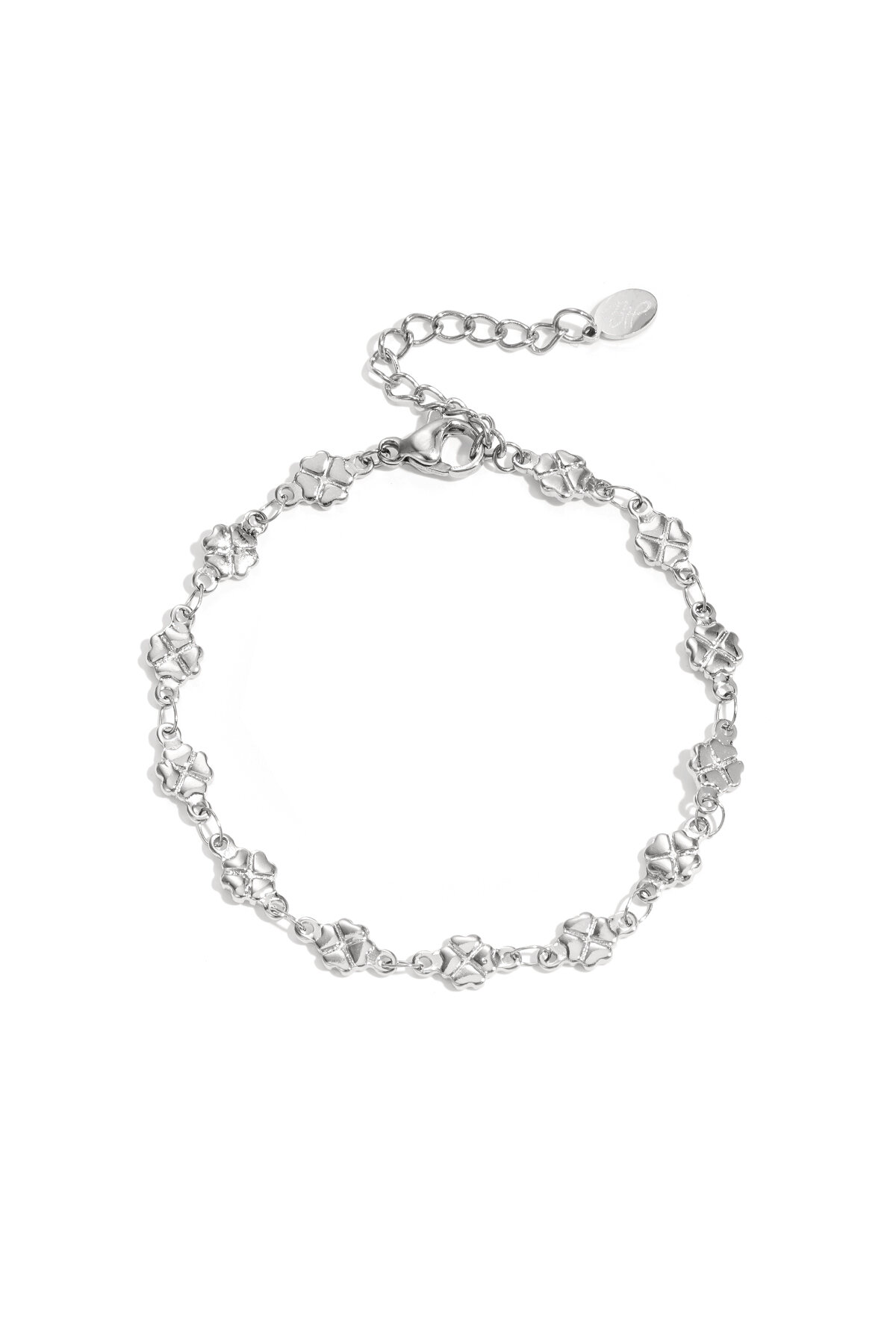 Silver Color Picture2