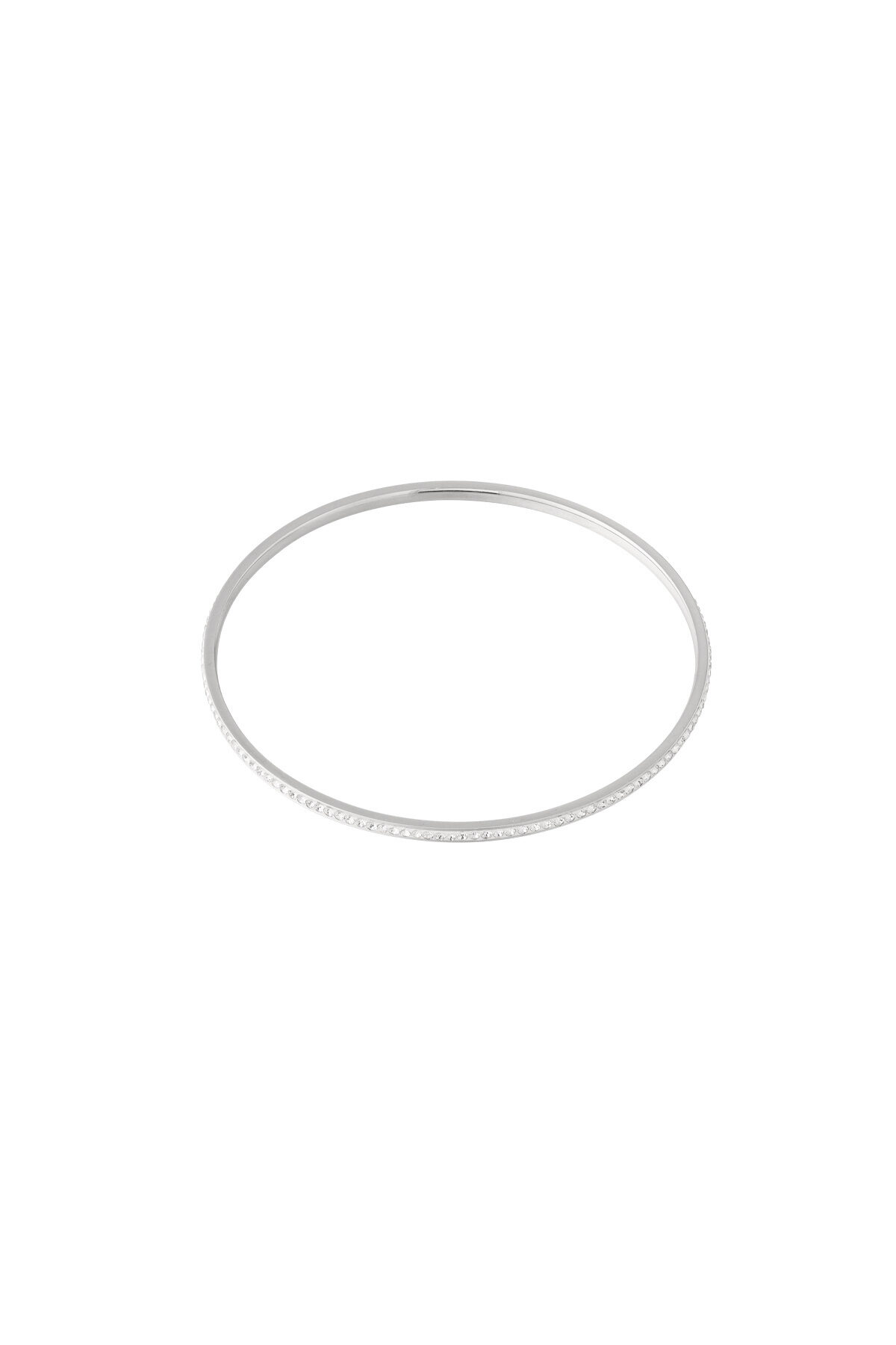 Silver Color Picture2