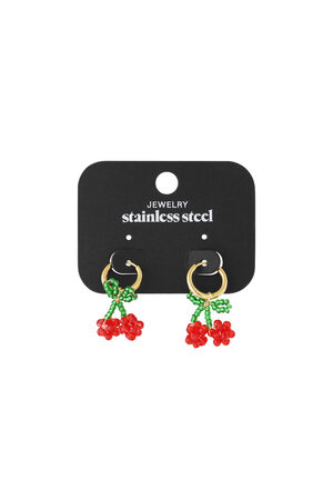 Stainless Steel Drop Earrings Plant Casual Daily Simple Series Women's jewelry h5 Picture4