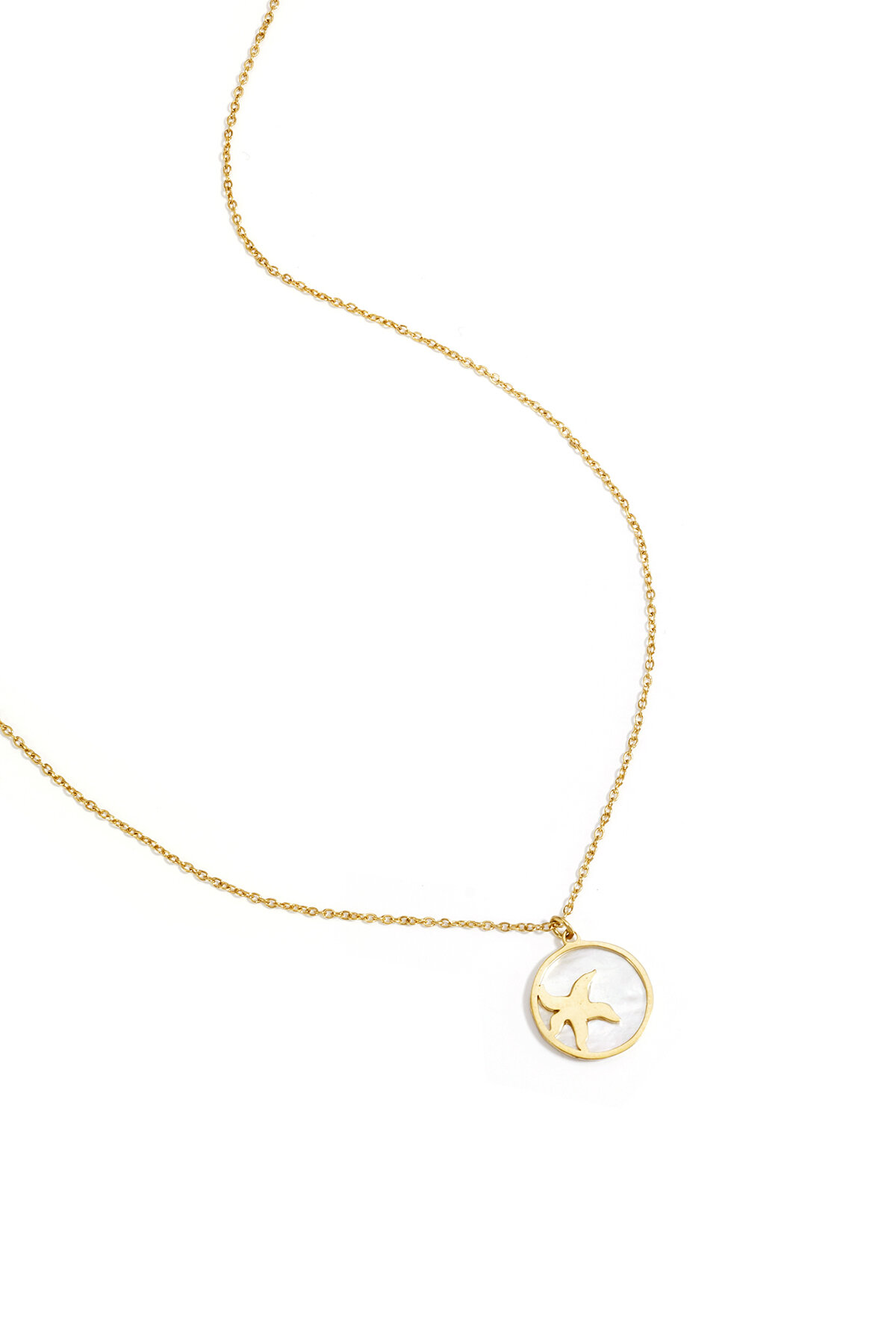 Necklace with starfish in circle h5 