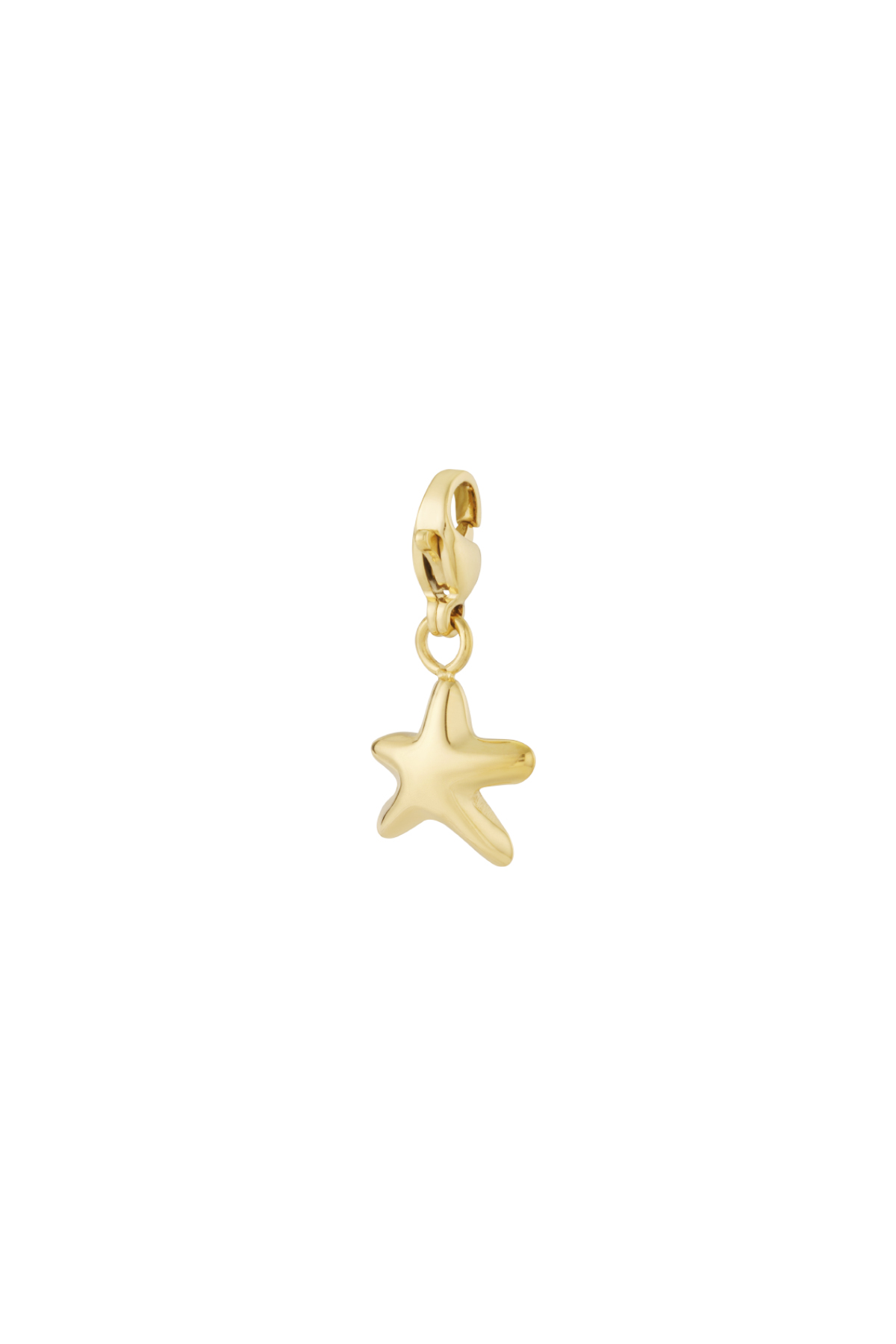Puffy star jewelry charm 2