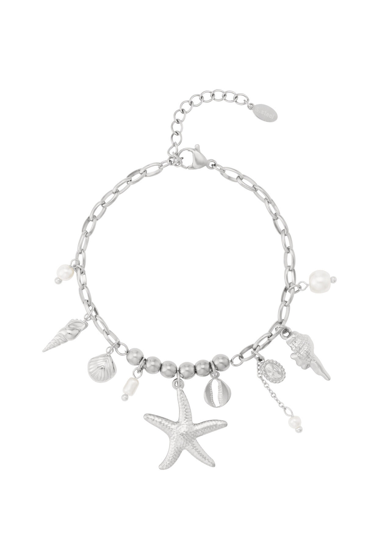 Silver Color Picture2