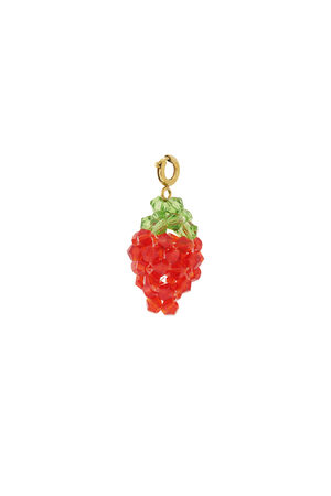 Charme de fraise h5