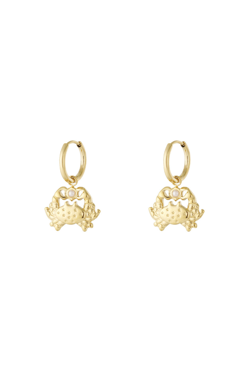 Drop Earrings Animal Casual Daily Simple Series Women's jewelry