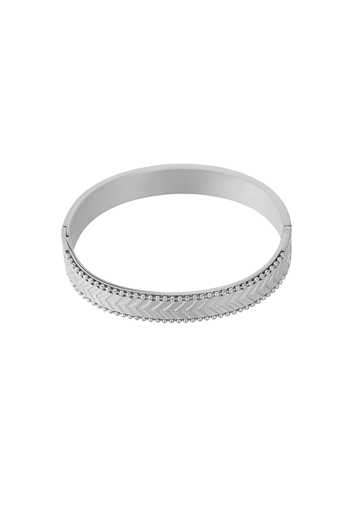 Silver Color Picture2