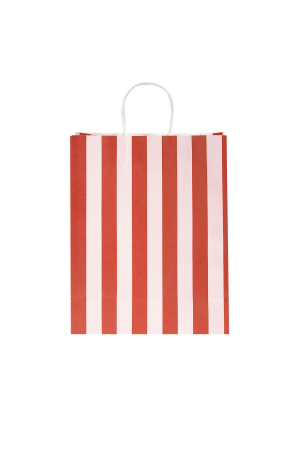 Bolsa De Regalo A Rayas h5 Imagen4