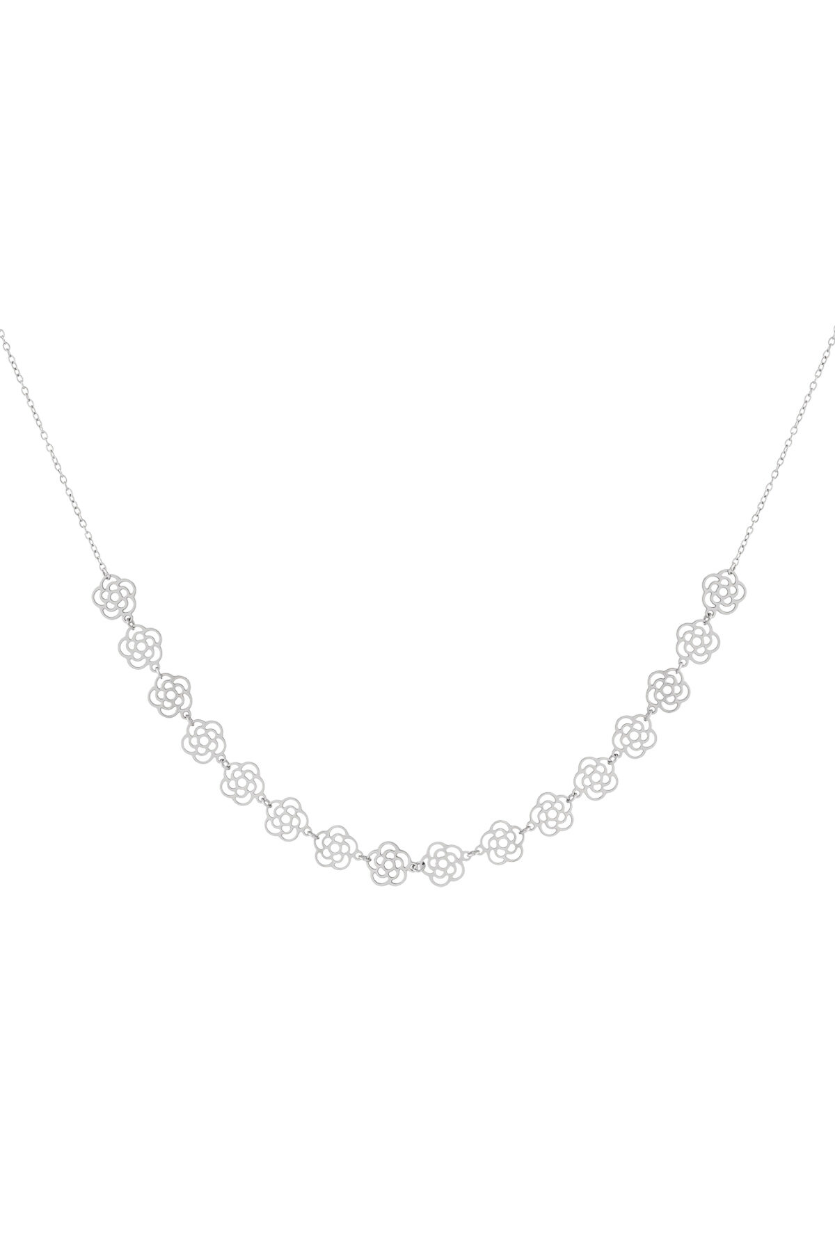 Silver Color Picture2