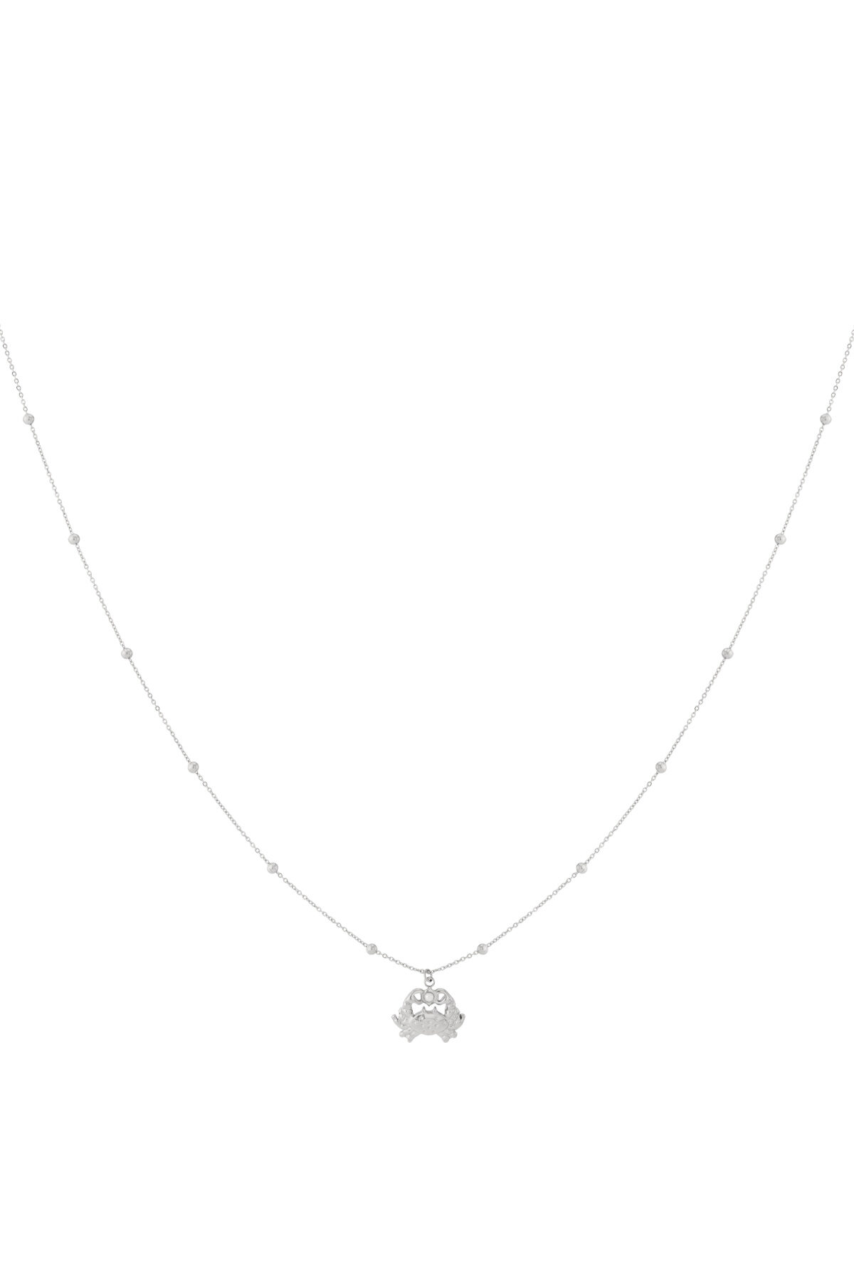   Pendant necklaces Animal Casual Daily Simple Series Women's jewelry Picture3