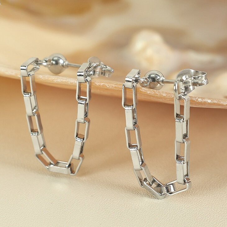 Eh638 Silver Earrings Picture2