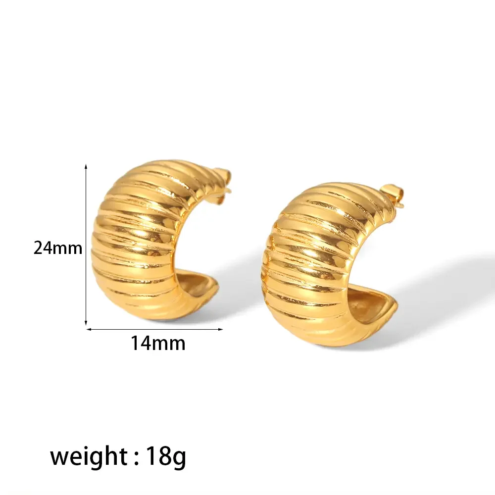 1 pair of punk fashion  gold plated stainless steel geometric stripe C-shaped earrings for women jewelry daily wear h5 Picture2