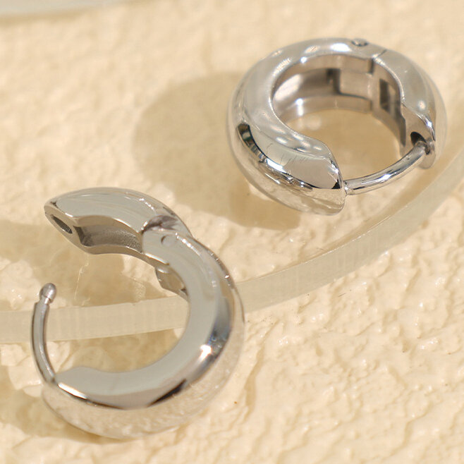Eh245 Silver Earrings Picture2